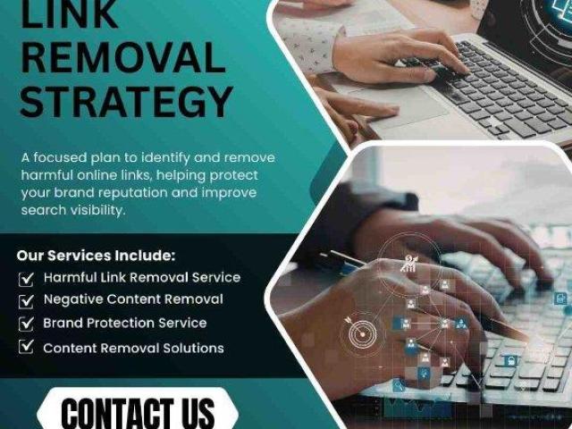 Harmful Link Removal Strategy for Online Reputation Protection