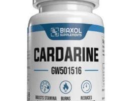 Count on the Best Store to Buy Peptides for Weight Loss