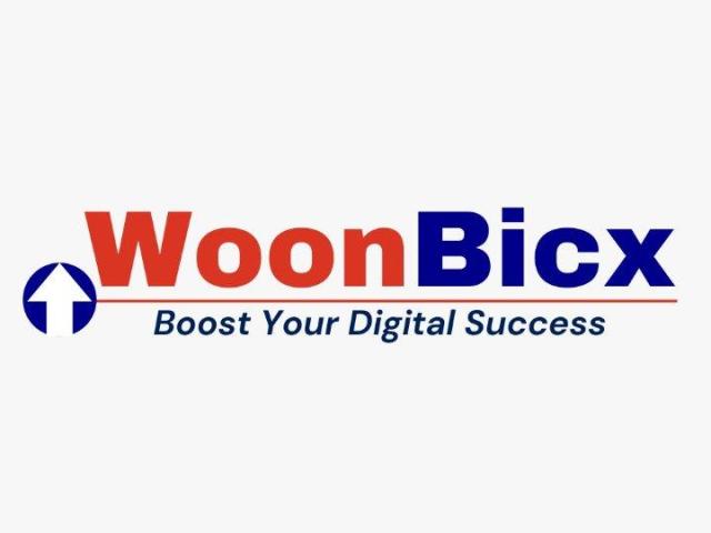 WoonBicx - Best Digital Marketing Institute & Agency