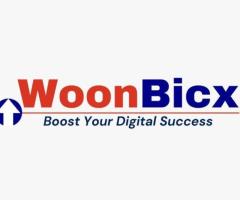 WoonBicx - Best Digital Marketing Institute & Agency