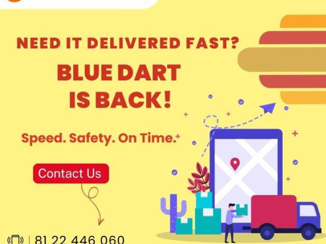 Domestic Courier Service Provider in Chennai