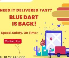 Domestic Courier Service Provider in Chennai