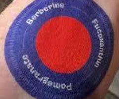 Murwon Patch Australia: Natural Detox & Weight Support Solution!