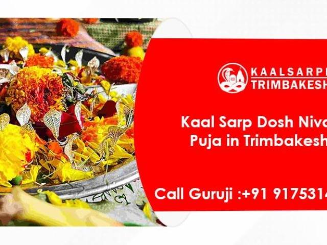 Kaalsarp Puja Trimbakeshwar | Kaal Sarp Dosh Nivaran Puja |