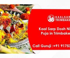Kaalsarp Puja Trimbakeshwar | Kaal Sarp Dosh Nivaran Puja |