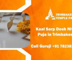 Best pandit in trimbakeshwar | kaal sarp puja trimbakeshwar