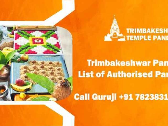 Trimbakeshwar Temple Pandit | Kaal Sarp And Pitra Dosh puja