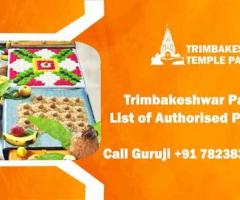 Trimbakeshwar Temple Pandit | Kaal Sarp And Pitra Dosh puja