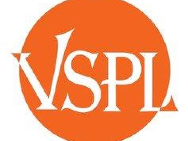Polymer Pin Insulator Manufacturer in India – VSL India (11–33 kV)