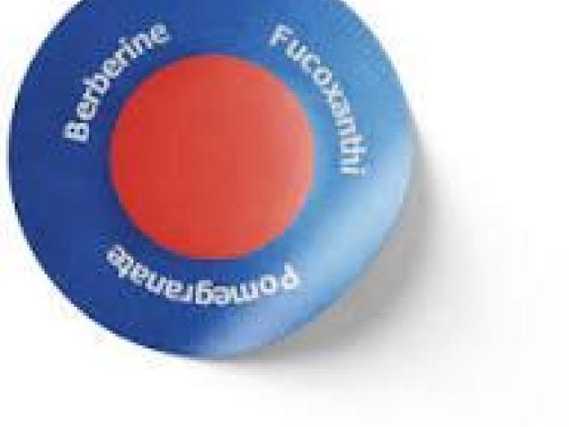 Surgonix Patch Australia: The Revolutionary Weight Loss Solution You Need, Benefits!