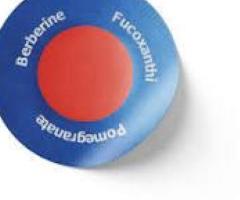 Surgonix Patch Australia: The Revolutionary Weight Loss Solution You Need, Benefits!