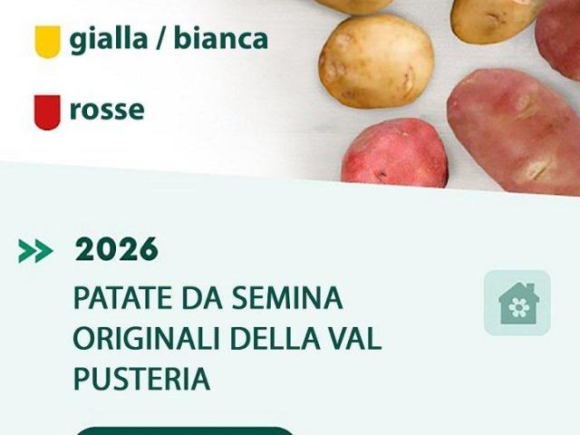 Agritura – Patate da Seme di Qualità e Calce per un Orto Sempre Fertile