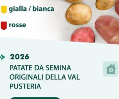 Agritura – Patate da Seme di Qualità e Calce per un Orto Sempre Fertile
