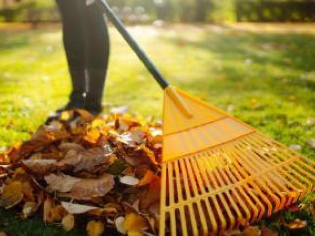 Gardening Services Canberra | Expert Garden Maintenance Canberra
