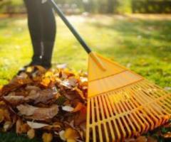 Gardening Services Canberra | Expert Garden Maintenance Canberra