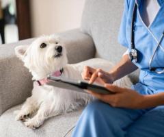 Veterinary Medical Center   Compassionate Care for Your Pets