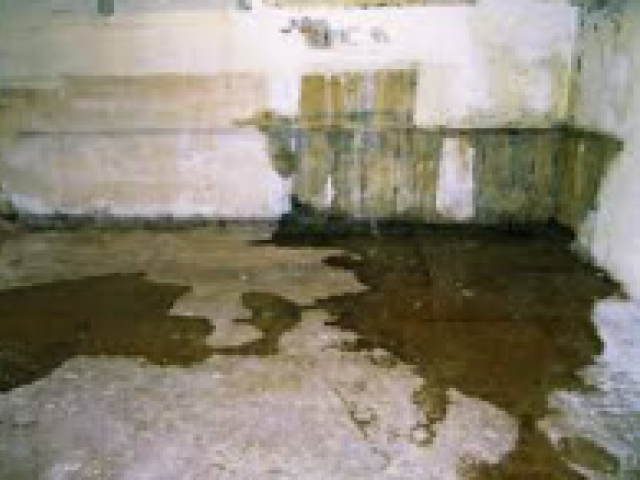 Leaking Foundation Crack in Freehold