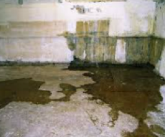 Leaking Foundation Crack in Freehold