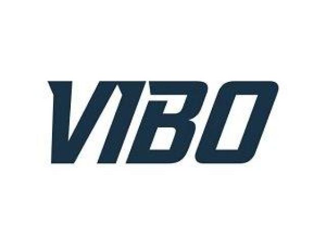Vibo Electric Inc.