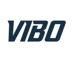 Vibo Electric Inc.