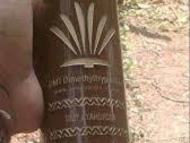 buy ayahuasca online