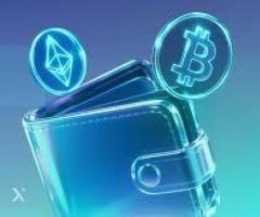 Custom Crypto Wallet Development Services for Secure Transactions