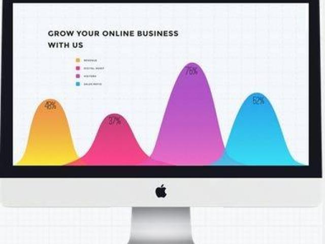 SEO Expert