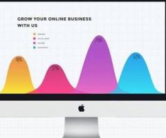 SEO Expert