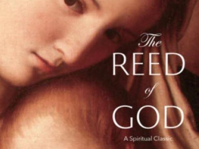 Buy Reed of God Paperback – Shop Now