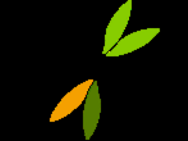 Herbal Tea for Stress and Anxiety