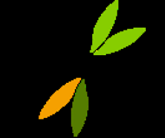 Herbal Tea for Stress and Anxiety