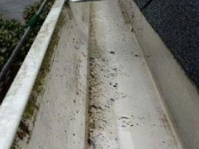 Roof Cleaning in Raleigh, NC | Remove Black Streaks, Algae & Mold Safely