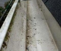 Roof Cleaning in Raleigh, NC | Remove Black Streaks, Algae & Mold Safely
