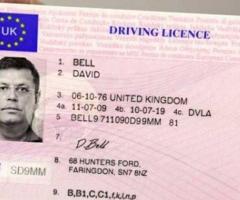 Buy ID Cards Online