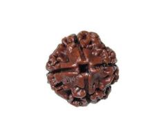 Buy 4 Mukhi Rudraksha Original - Rudraksha Hart