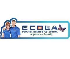 Ecola Termite - Orange County