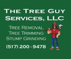 The Tree Guy Services LLC