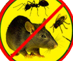 Nikol Pest Control