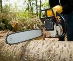 Troy Tree Service Hub