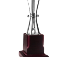 Best Trophy Supplier in Delhi