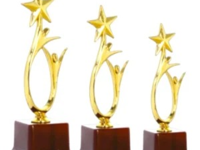 Affordable Trophies in Delhi | Bulk Awards Supplier