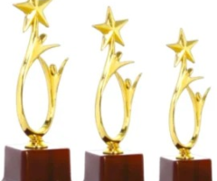 Affordable Trophies in Delhi | Bulk Awards Supplier