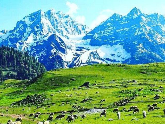 Planning a Honeymoon in Kashmir? Here’s What Actually Matters