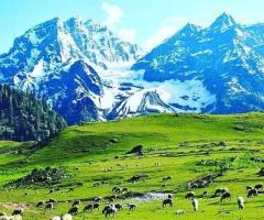 Planning a Honeymoon in Kashmir? Here’s What Actually Matters