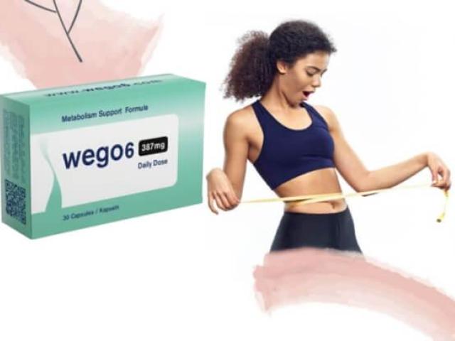 Wego 6 Erfahrungen: Kundenmeinungen, Test und Ergebnisse