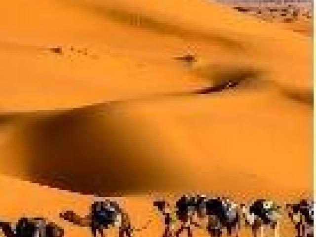 5-Day Tour From Fes to Marrakech Via The Sahara Desert