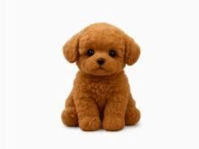 Why Wuffy Robot Dog is the Perfect Pet for Modern Homes The Ultimate Tech Toy for Kids and Adults!