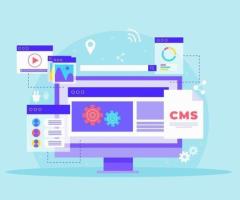 Custom WordPress Website Design Services in Chicago by Netlynx Inc