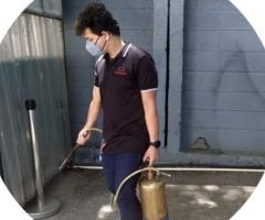 Pest Control Services in Bangalore | Safe & Effective Solutions