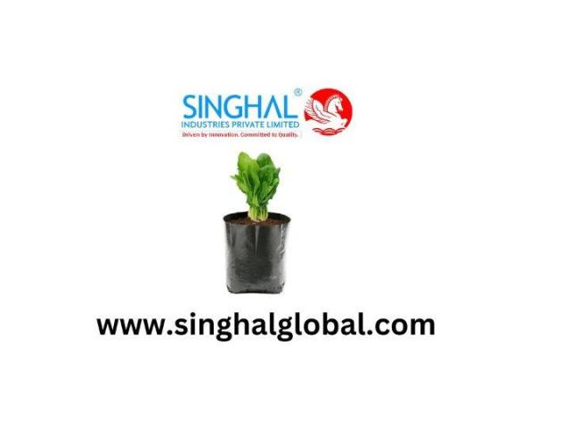 Innovative Plant Containers for Strong Early Development